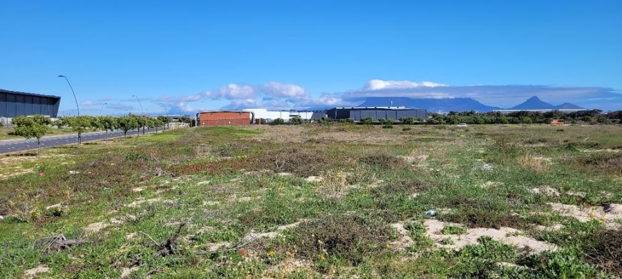 To Let commercial Property for Rent in Richmond Park Western Cape